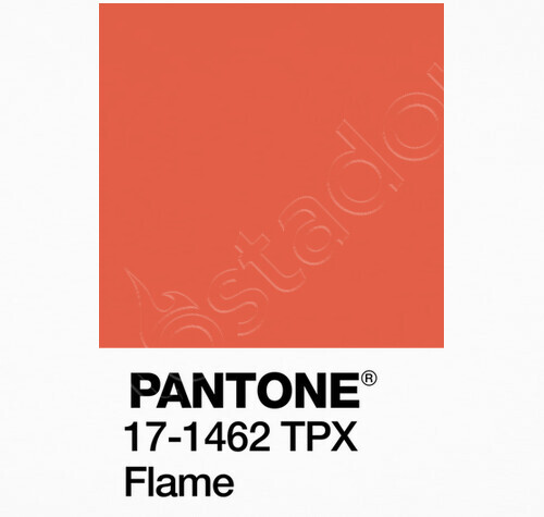 Pantone 17 1462 Tpx T Shirt Tostadora Co Uk