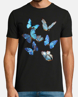 papillon monarque insecte joli