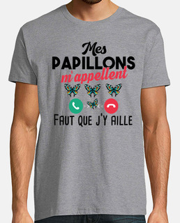 Papillon Papillons Lépidoptériste