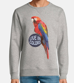pappagallo - colore vivente