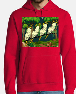 pappagallo colorato uccello cacatua