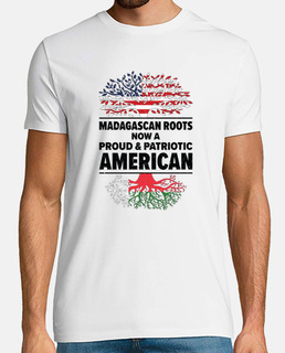 patriote américain malgache usa cultivé drapeau américain de madagascar