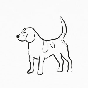 Camisetas Perro beagle