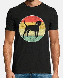 perro labrador retro