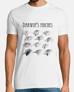 Pinsons de Darwin