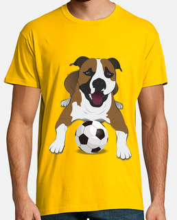 pit-bull