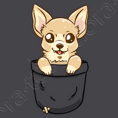 Chihuahua in shirt pocket sales
