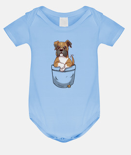 Pocket Cute Boxer Puppy
