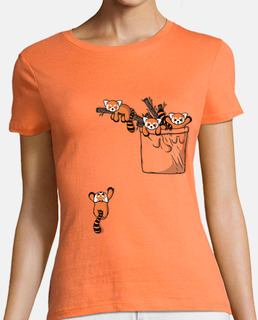 pocket red panda bears