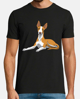 Podenco Dog