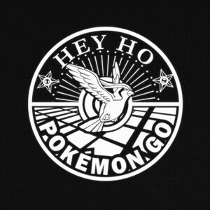 Camisetas Pokémon go - Hey ho, let's go