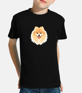 pomerania sorridente