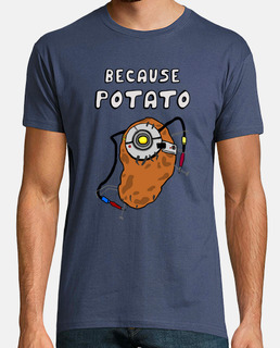 Portal Potato