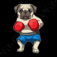 Pug Boxer Boxing gloves Boxing