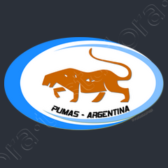 Felpa argentina puma online