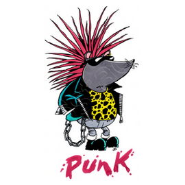 Tee Shirt Enfant Punk Tostadora