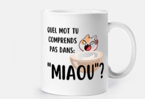 quel mot tu comprends pas