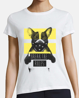 rebelle chien jaune 2