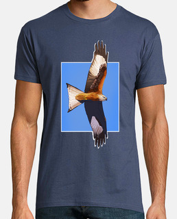 red kite 2
