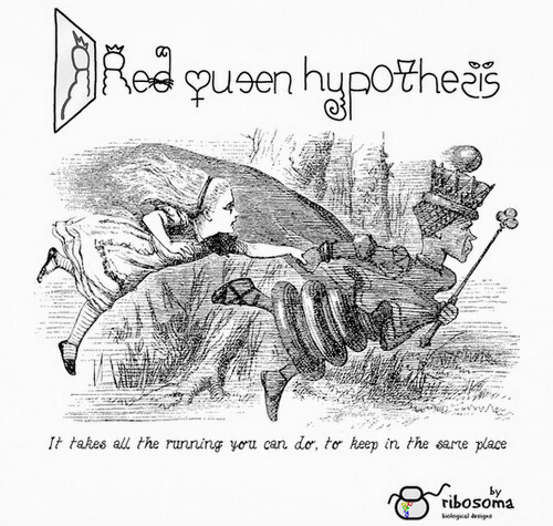 red queen hypothesis book