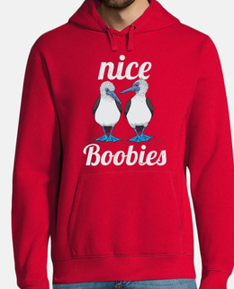 regalo di uccello booby dai piedi blu b