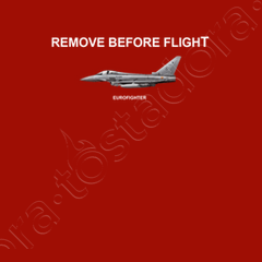 Eurofighter-Remove before flight