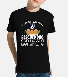 Rescued Bull Terrier Animal Shelter Dog