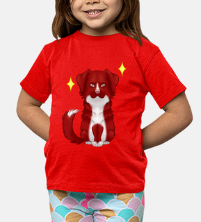 retriever de la nouvelle-écosse rouge f