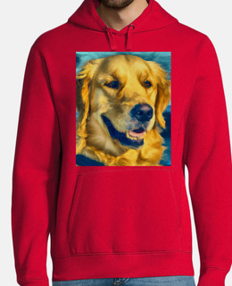 ritratto di golden retriever vincent va