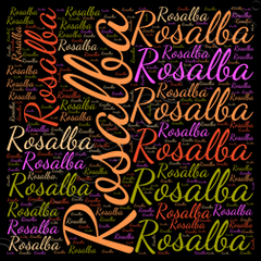 Magliette rosalba 2025