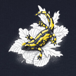Tee-shirts salamandre