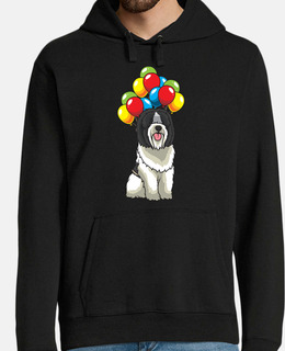 schapendoes cane con palloncini ball