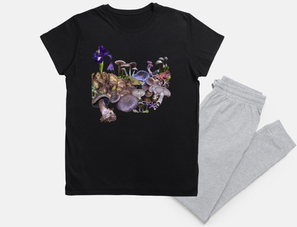 Setas violetas
