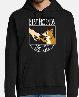 shiba inu chien best friends pour la vi