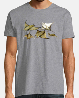 shirt de mante (tarapacana de mobula)