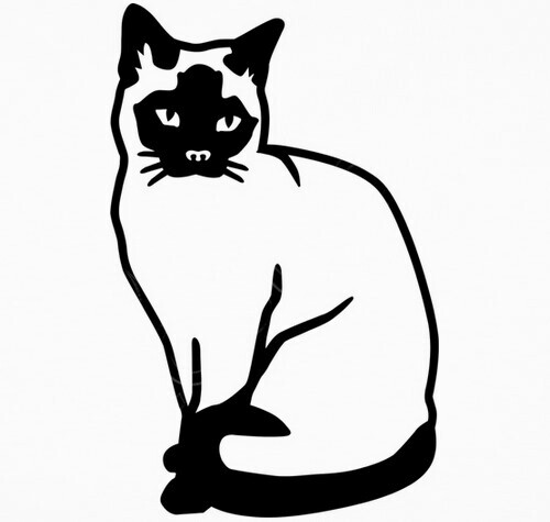 T Shirt Gatto Siamese 1293902 Tostadorait