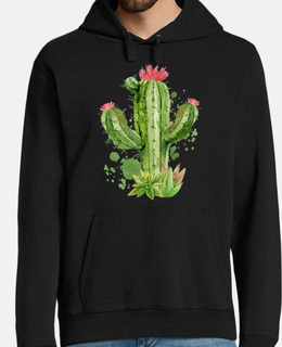 simpatici cactus in fiore fiori cactus
