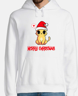 simpatico gattino buon natale