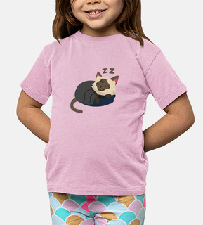 simpatico gatto siamese