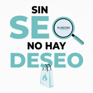 without seo there is no desire T-shirts