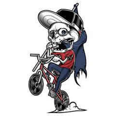 Skull store bmx bike