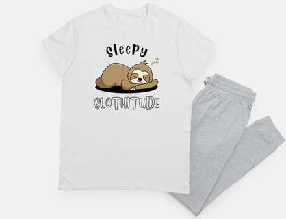 sleeping sloth