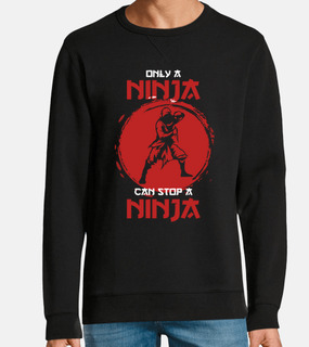 solo un ninja può fermare un combattent