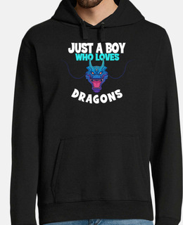 solo un ragazzo che ama i draghi drago 