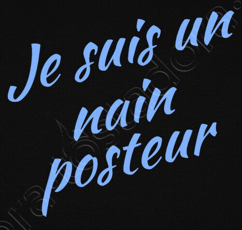 Télécharger gratuitement Images Sweat Je Suis Un Nain Posteur Tostadora Fr le plus cool par