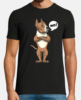 Staffordshire terrier américain têtu