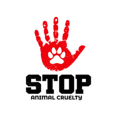 Stop animal cruelty canvas | tostadora Stop animal cruelty canvas | tostadora