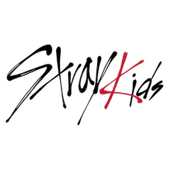 Stray kids t-shirt | tostadora