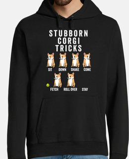 stub born dog corgi t rick s