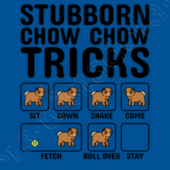 Chow chow outlet stubborn